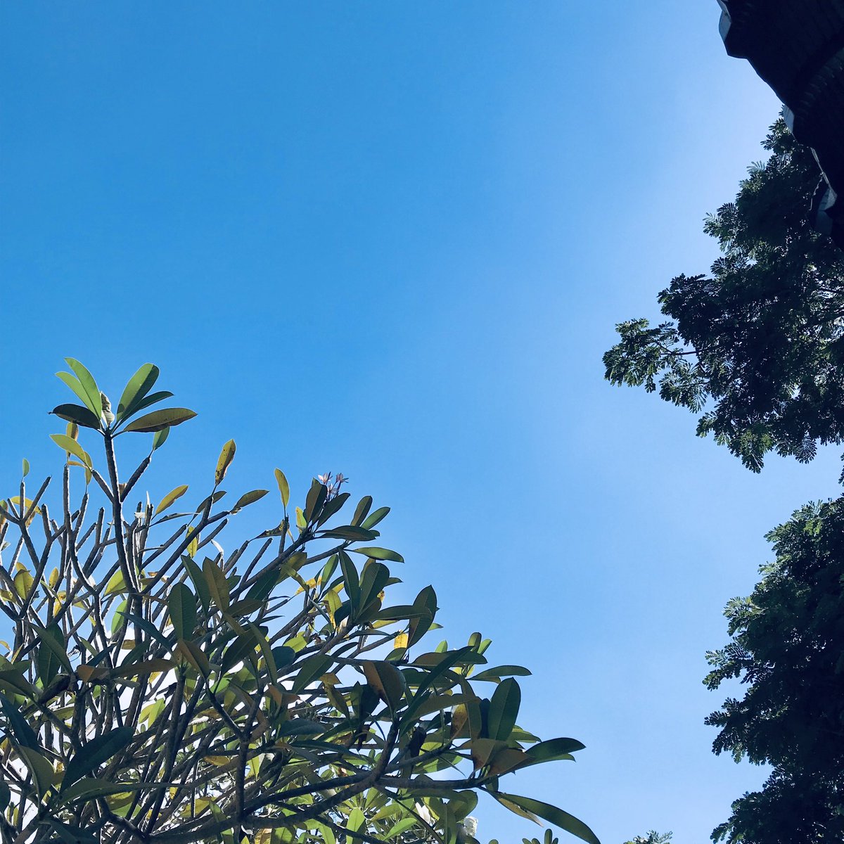📢ˎˊ˗laoreungw/us tweet media