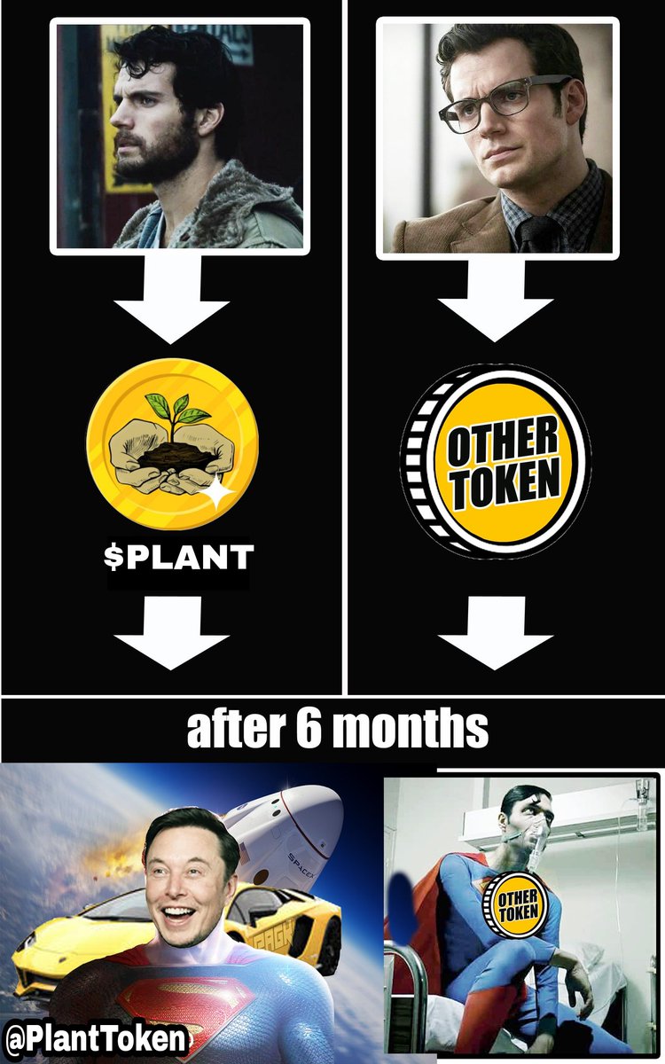 killerboyangels's tweet image. My entry
@PlantToken 
#Airdrops #meme #memecoin #AirdropCrypto #PlantToken