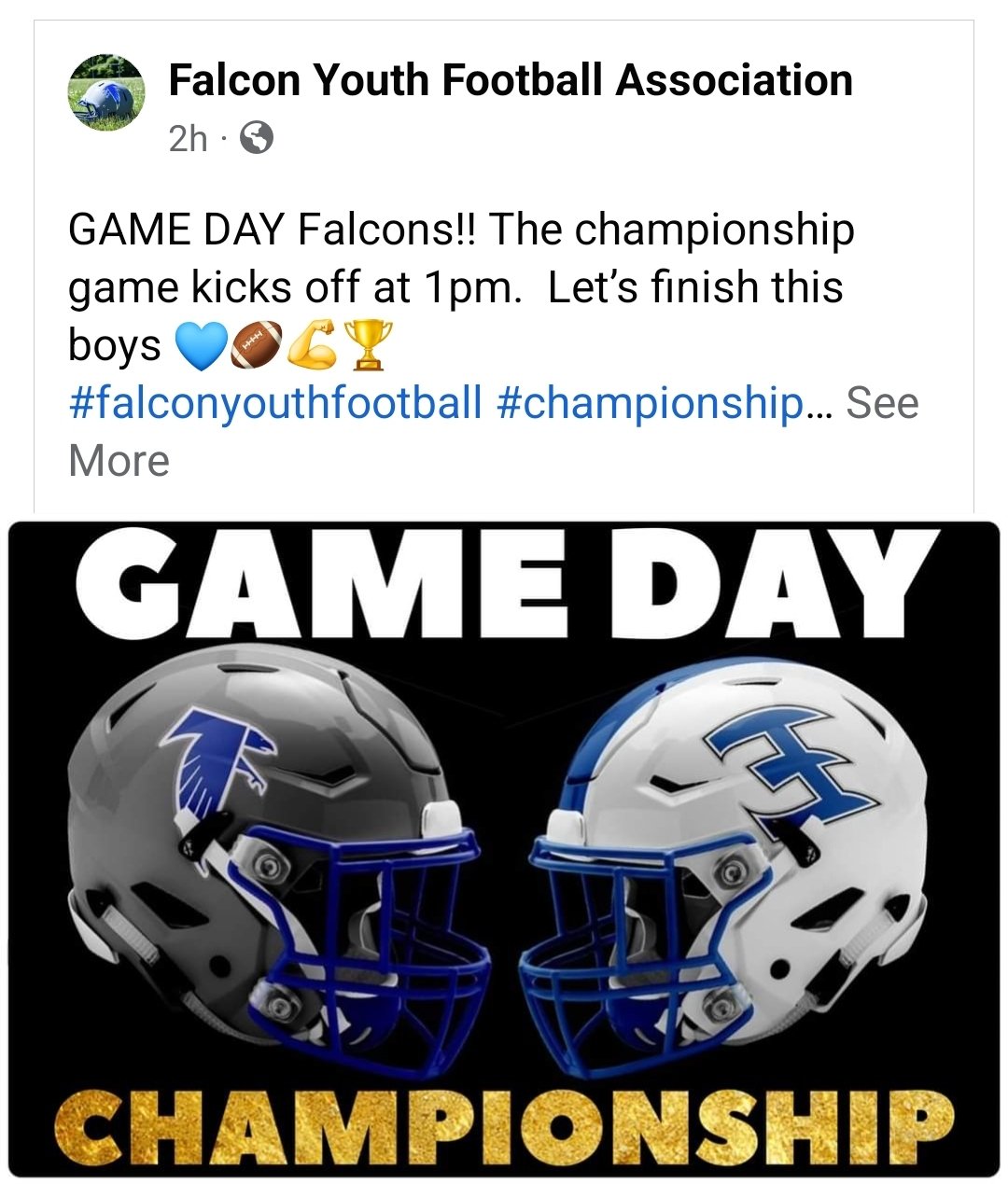 Falcon Youth Football Association (falcon_youth) / Twitter