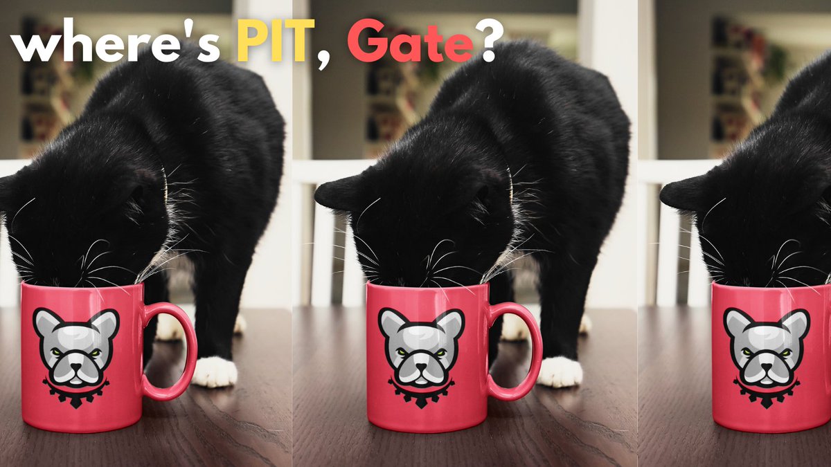 Meme Whales🌭 tweet media