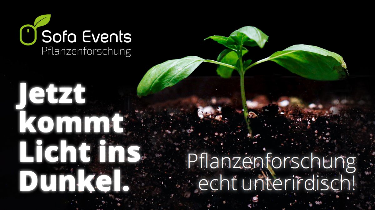 🛋️🌳 Beim Sofa Event „Jetzt kommt Licht ins Dunkel“ geben Professor Ulrich Schurr &amp; sein Team Einblick in ihre spannende Pflanzenforschung. Am 15. Dezember um 17 Uhr ist es Zeit ins Erdreich abzutauchen! Anmeldung: ow.ly/W9Zh50GOHuz