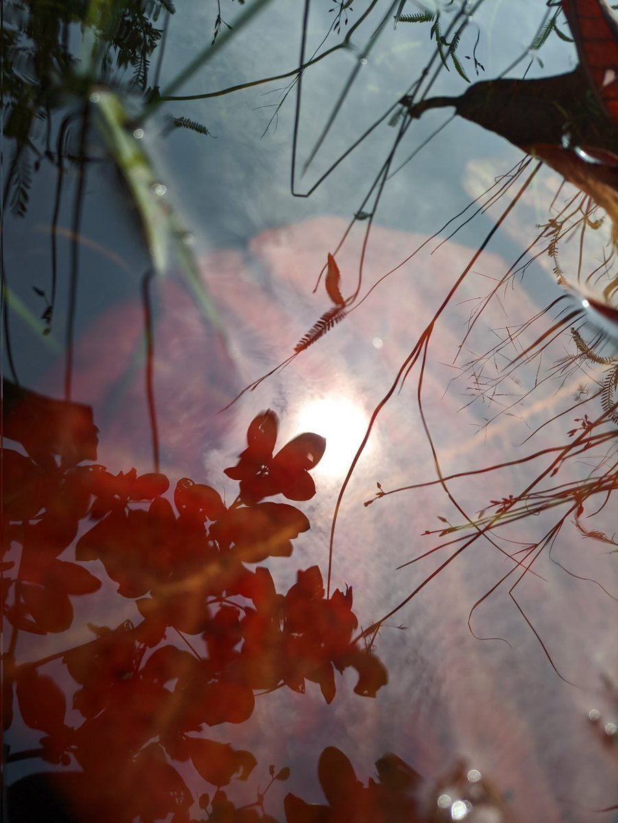 jeromerojer's tweet photo. Realme 7 with g cam😘
@C4ETechTamil @TamilTechOffici @C4ETech @PhoneArena @Siva_Bharani https://t.co/R4LzUgF2YS