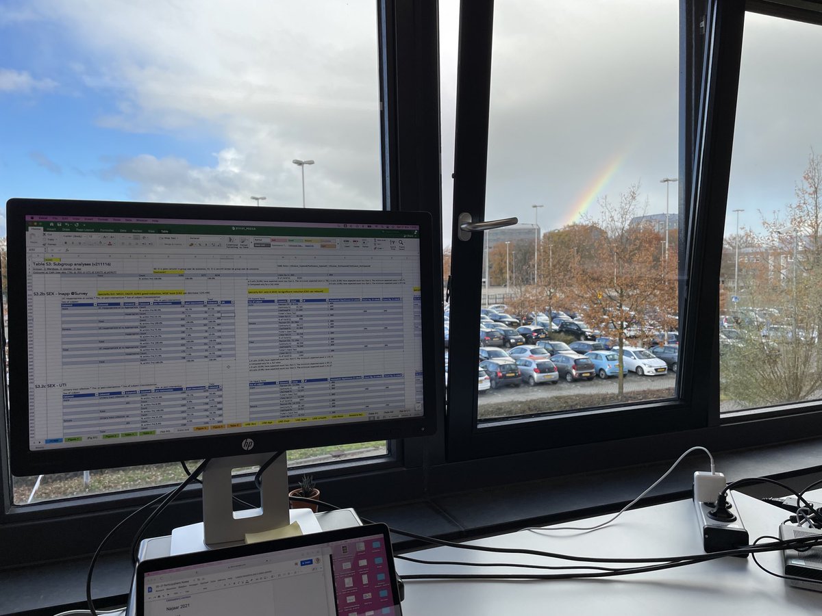 Rain and sun come together in data analysis…🌦🌈 #participatient #phd #rainbow #cauti #patientparticipation