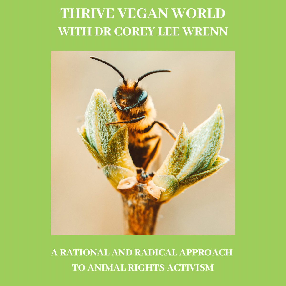 🎙NEW PODCAST EPISODE🎙 

A RATIONAL AND RADICAL APPROACH TO ANIMAL RIGHTS ACTIVISM

With @DrCoreyLeeWrenn 

thriveveganworld.libsyn.com/with-dr-corey-…