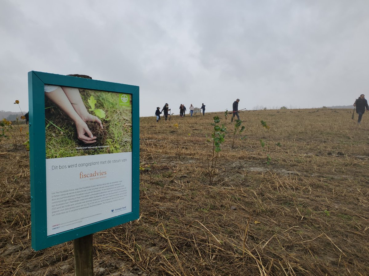 rob_televisie's tweet photo. In #Tielt-#Winge leggen medewerkers van boekhoudkantoor Fiscadvies uit #Wilsele eigen bos aan. Ze planten 2000 bomen, goed voor 1,3 hectare bos. Het bedrijf least het stuk grond van @MijnNatuurpunt. Ook tv-gezicht Saartje Vandendriessche komt mee bomen planten #robnieuws #robtv https://t.co/KCyE3By4H6