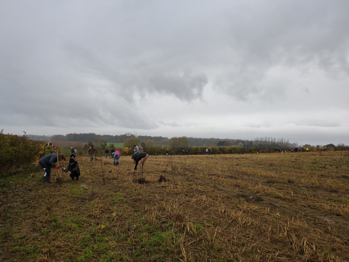 rob_televisie's tweet photo. In #Tielt-#Winge leggen medewerkers van boekhoudkantoor Fiscadvies uit #Wilsele eigen bos aan. Ze planten 2000 bomen, goed voor 1,3 hectare bos. Het bedrijf least het stuk grond van @MijnNatuurpunt. Ook tv-gezicht Saartje Vandendriessche komt mee bomen planten #robnieuws #robtv https://t.co/KCyE3By4H6
