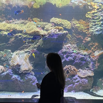 helloween_mimi's tweet photo. #新しいプロフィール画像 https://t.co/A7CQHFKYCu