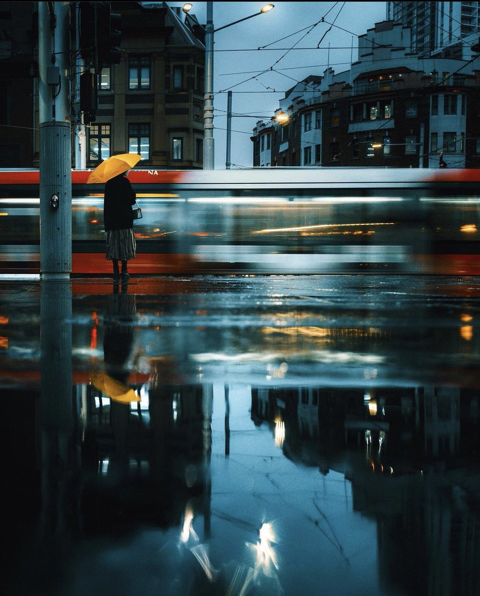 _davidsark's tweet photo. Rainy day reflections https://t.co/pCbLHJ8UOz