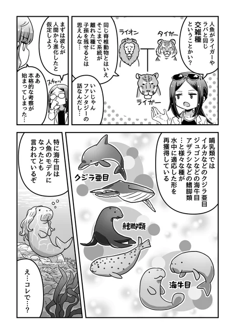生物雑学系マンガ2話目(2/6)
人魚のモデルですが、実はジュゴン説とマナティ説両方存在するみたいで、私は調べるまでジュゴンが正だと思っていました 