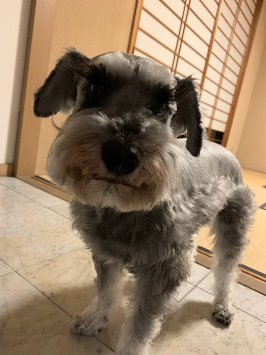 lemonworld18's tweet photo. お腹ギュルリンマン…泣 https://t.co/HuOOlhbrof