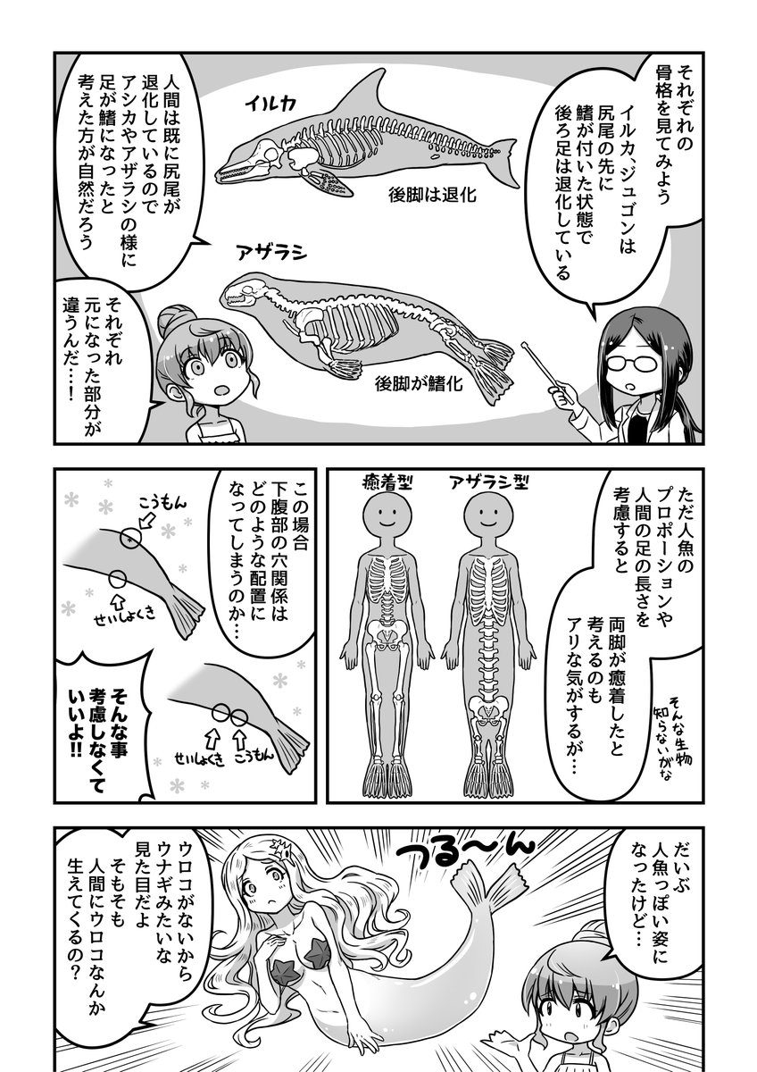 生物雑学系マンガ2話目(3/6)
実は人魚にも様々な種類がいて、下半身が二股に分かれたタイプもいます(スタバのマークがそれですよね)そっちの方が現実的な進化だと思うんですよね〜歩けるし 