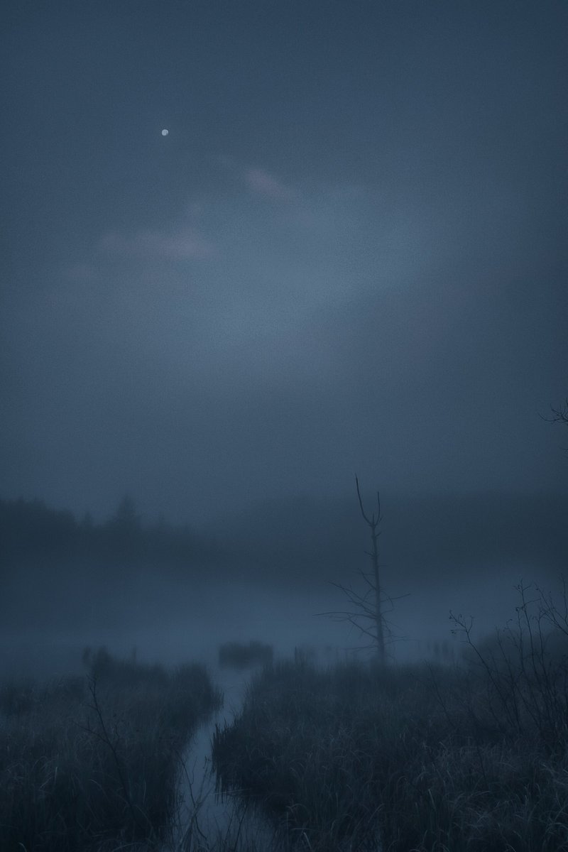 Loki Highlock tweet media