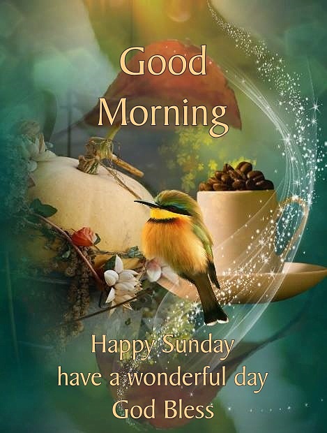 His Cornerstone Llc Good Morning Everyone Happy Sunday I Pray That You Have A Safe Happy And Blessed Day T Co R10ykzqllh Twitter His Cornerstone Llc Good Morning Everyone Happy Sunday I Pray That You Have A Safe Happy And Blessed Day T Co R10ykzqllh Twitter