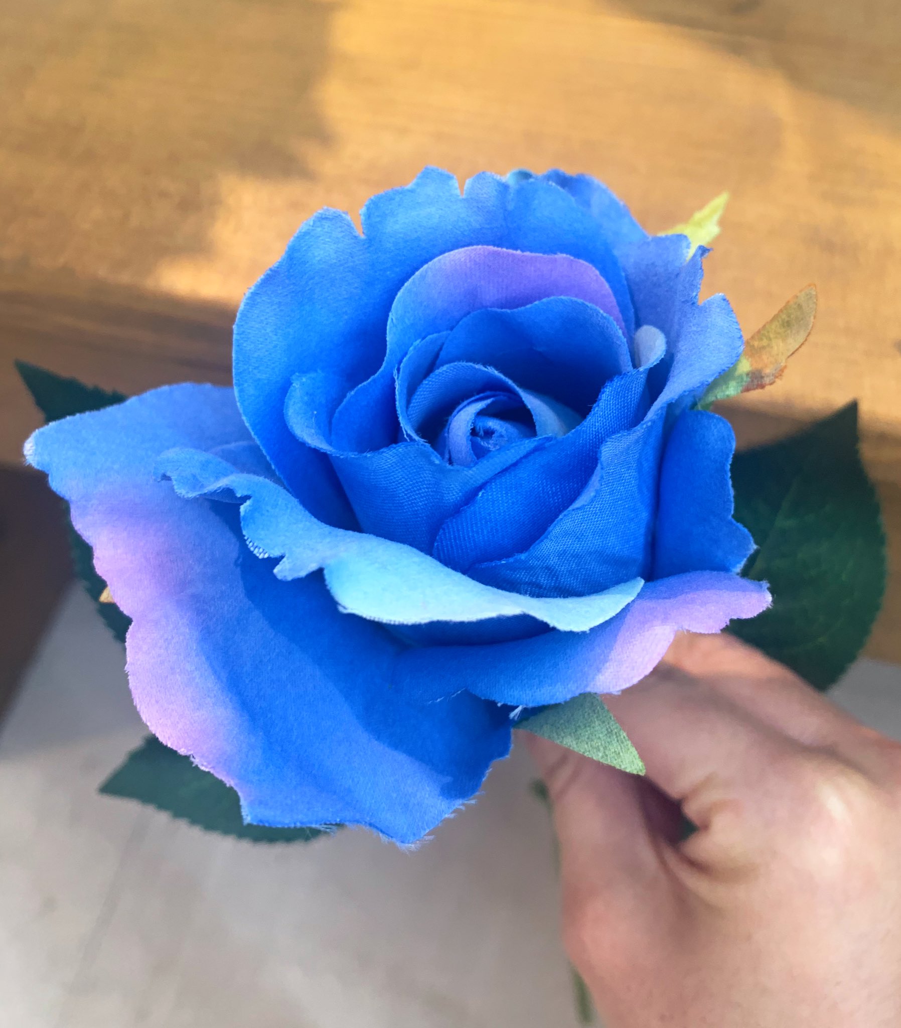 تويتر 𝓨𝓪𝓼 青ヰ 鱗 على تويتر 薔薇の描き方 T Co Oyn1xhfdxm