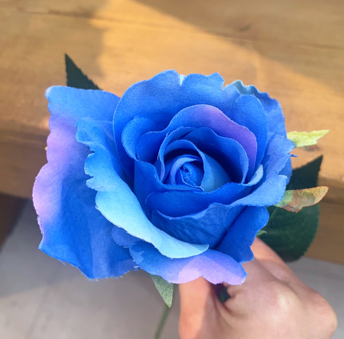 𝓨𝓪𝓼 青ヰ 鱗 薔薇の描き方 T Co Oyn1xhfdxm Twitter