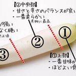 覚えておきたい大根に関する知識!大根は部位によって辛さなどが異なる!