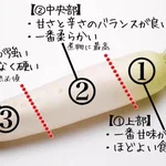 覚えておきたい大根に関する知識!大根は部位によって辛さなどが異なる!
