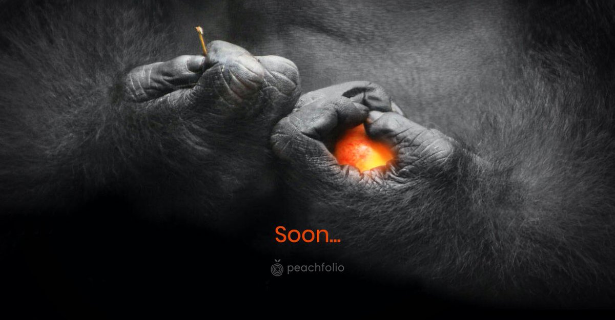 BTC Escobar tweet media