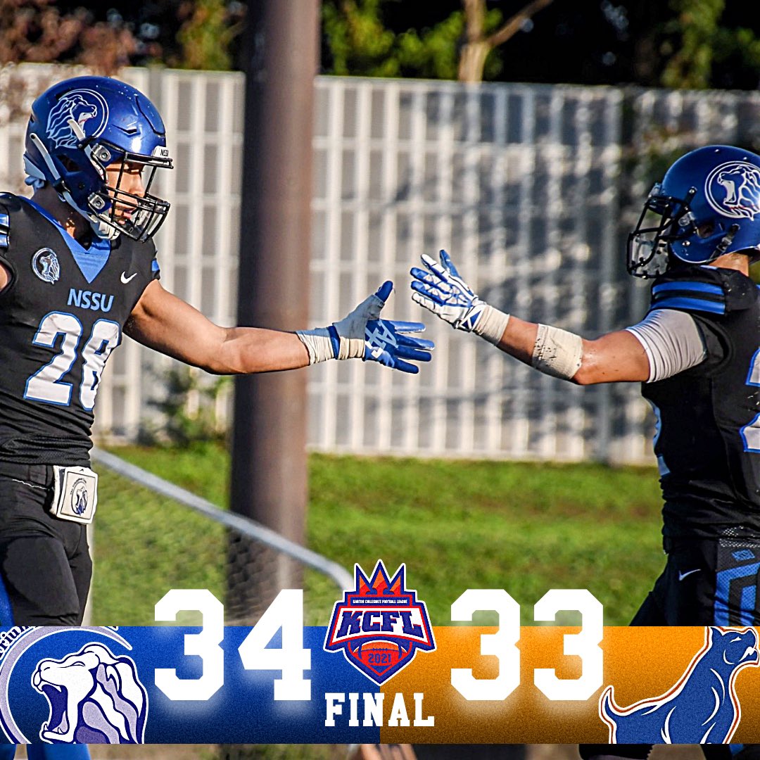 日本体育大学 アメリカンフットボール部 ヘルメット シール 非売品