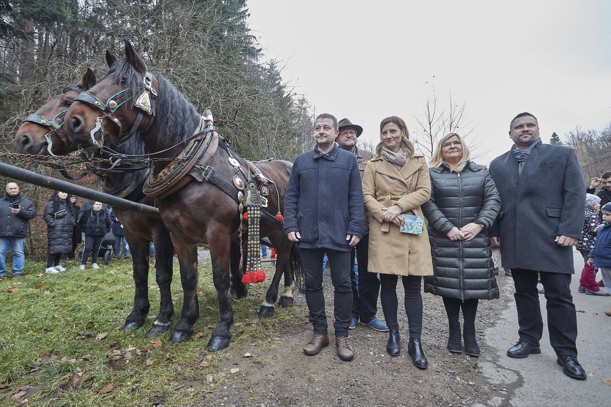 MENDELUcz's tweet photo. Od hájenky v Bílovicích nad Svitavou až na náměstí Svobody v @brnomycity. To byla cesta, kterou včera urazila 13 metrů vysoká #jedle bělokorá tažená koňským povozem. Jedli jsme darovali městu, aby jako každý rok ozdobila náměstí během Vánoc. Tak ať se vám líbí! 🎄 #vanoce2021 https://t.co/nzdK9yYFgt