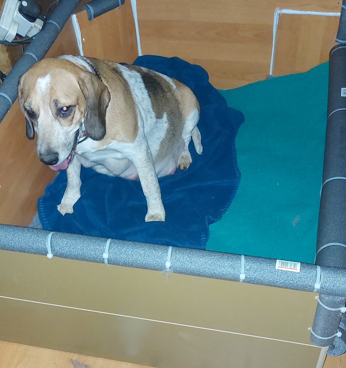 AndTorran's tweet image. Getting  ready