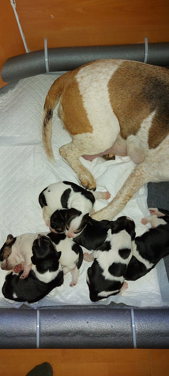 AndTorran's tweet image. 