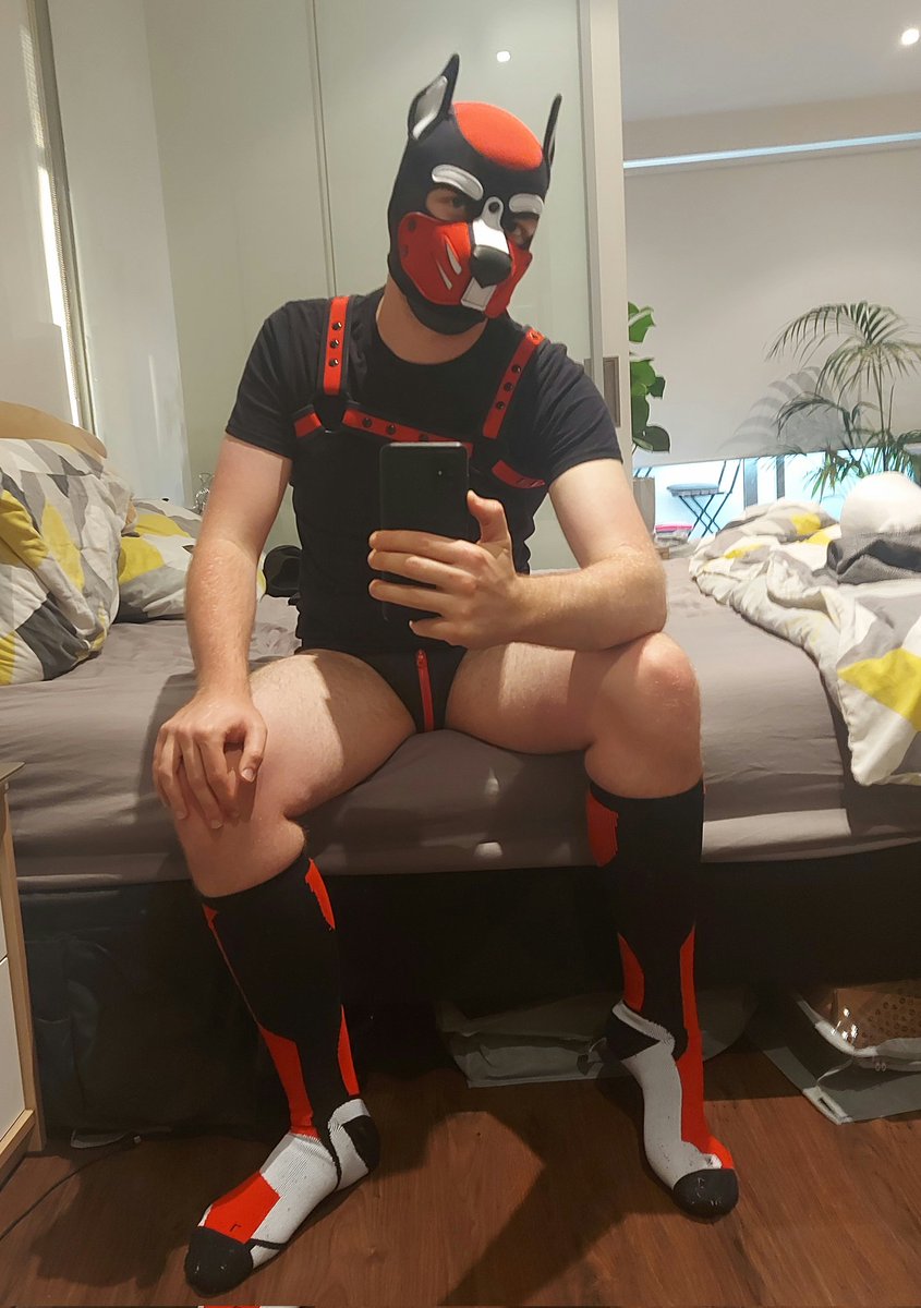Was feeling like a cute Dom Pup tonight, and figured I'd take some photos to mark the occasion.