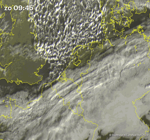 Buienradar tweet media