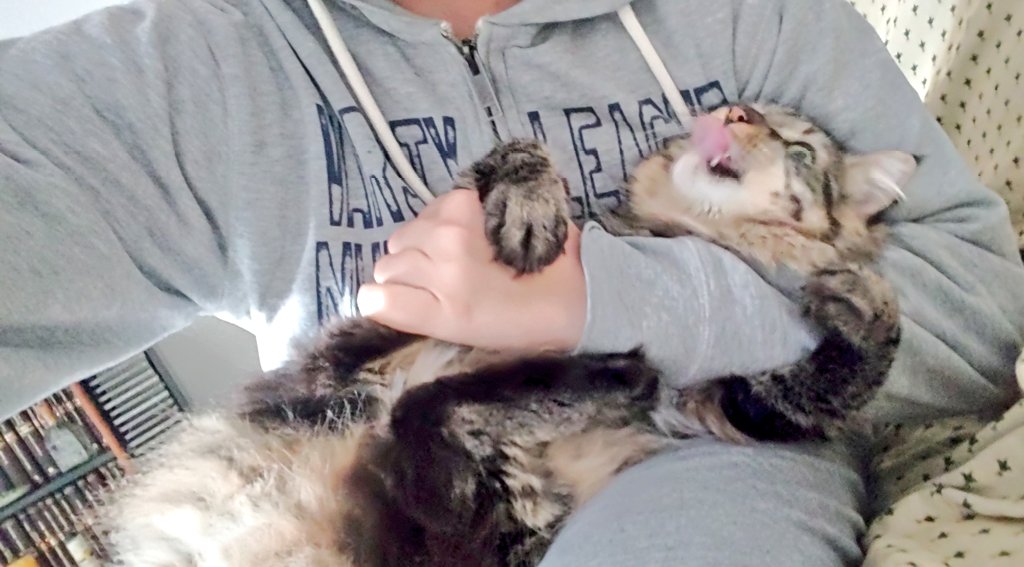 HughCatman's tweet photo. Fin de semana de chill https://t.co/TB93kjD4WB