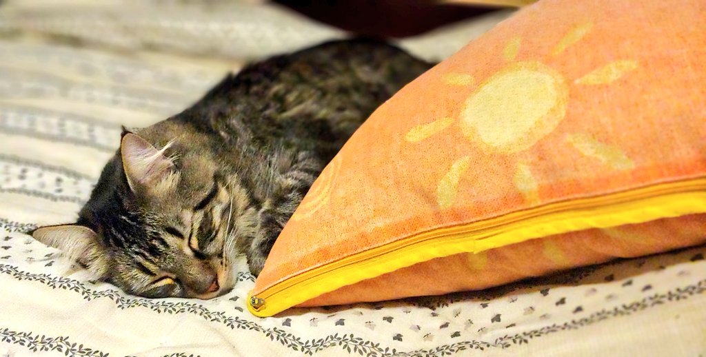HughCatman's tweet photo. Fin de semana de chill https://t.co/TB93kjD4WB