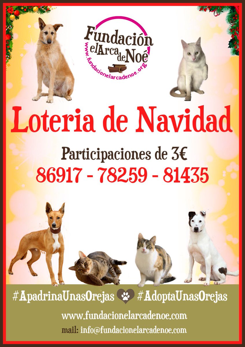 Fundación el Arca de Noé tweet media