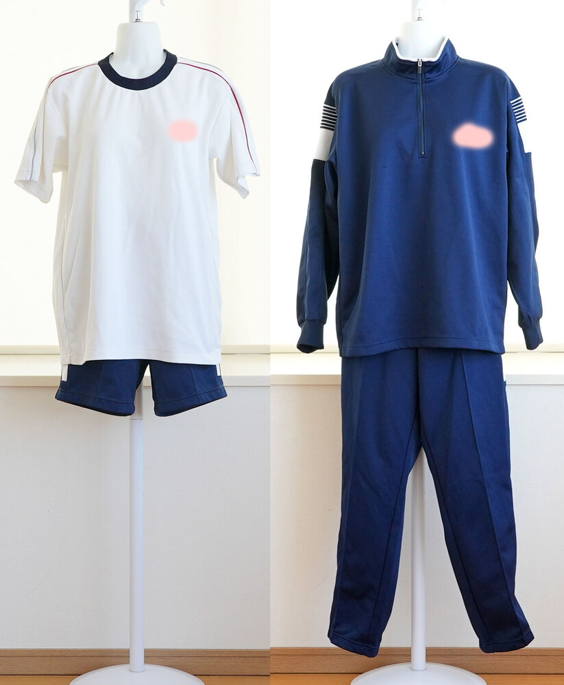 ⭕️超美品⭕️済美高校男子体操服Lサイズ