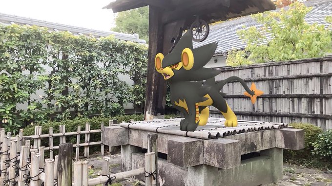 ポケモンgoで レントラー が話題に ポケgo トレンディソーシャルゲームス
