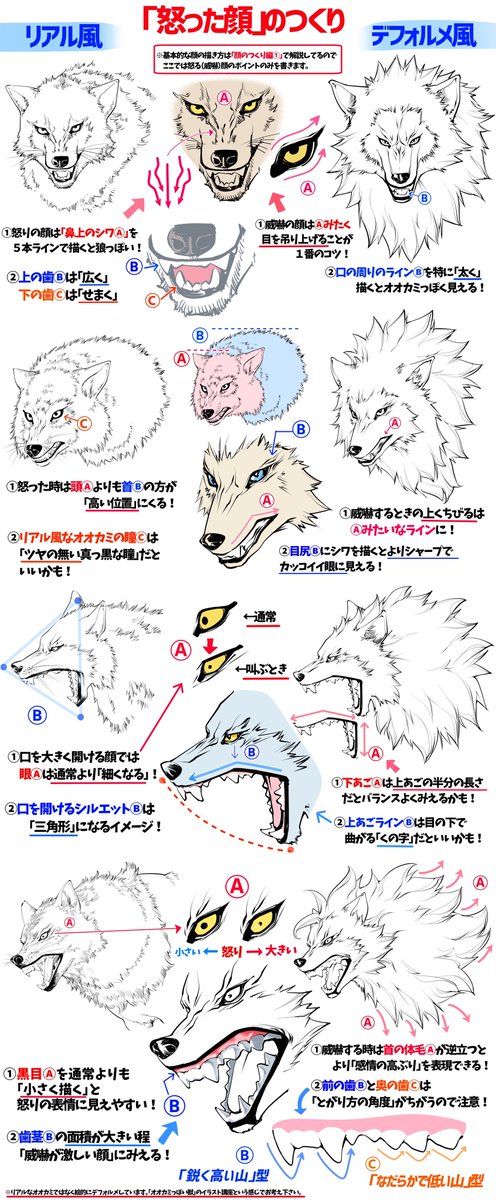 Twoucan 顔の描き方 の注目ツイート イラスト マンガ