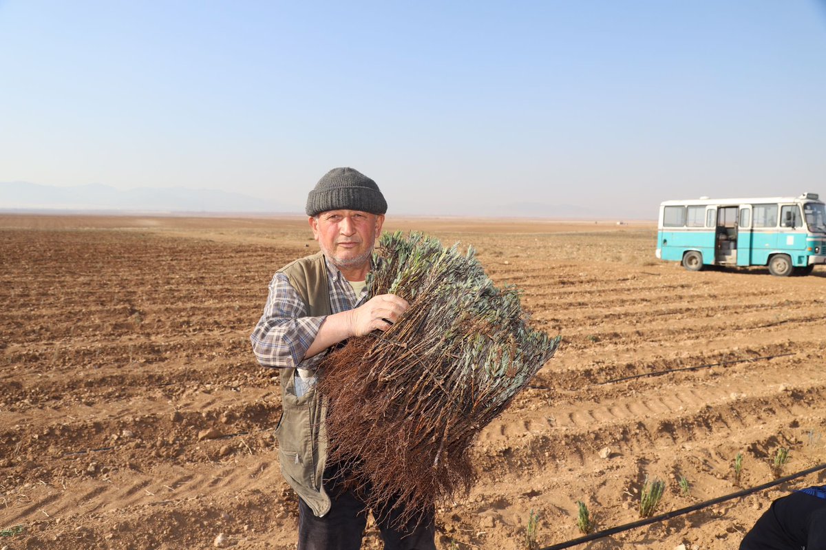Uğur İbrahim  Altay