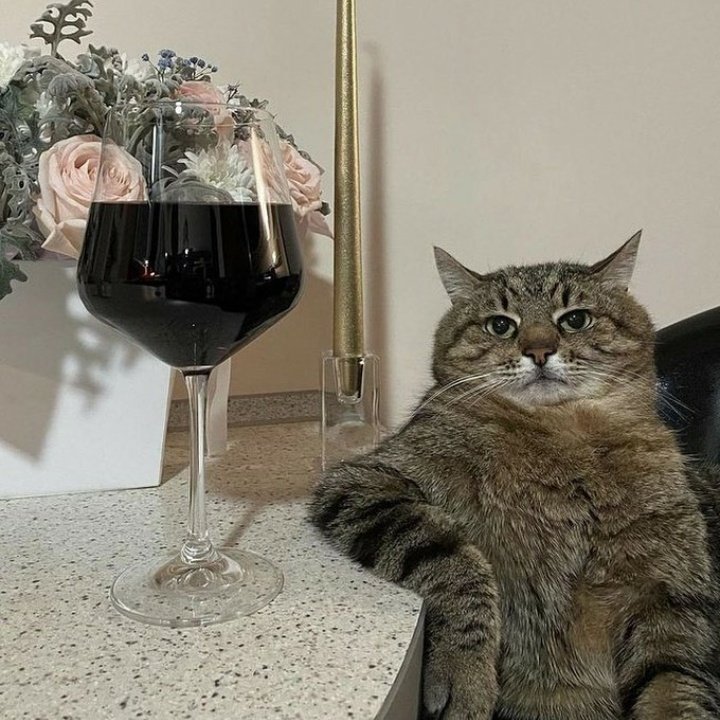 MickaCorreia's tweet photo. Moi, quand je vois que "iel" provoque plus d'indignation que les Pandora papers. https://t.co/HADdYHet4G