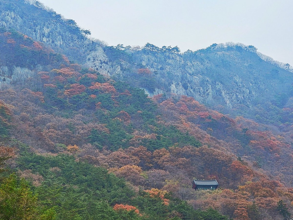 ChrisAstro's tweet photo. Exploring the Byeonsan-bando National Park! https://t.co/ipJeCuM2yh
π°π·πποΈ #SouthKorea #exploreROK #Korea #travel #exploreKorea #travel #ByeonsanbandoNationalPark #NationalPark #park #fall #fallseason #autumn https://t.co/OzkwrUUTHu