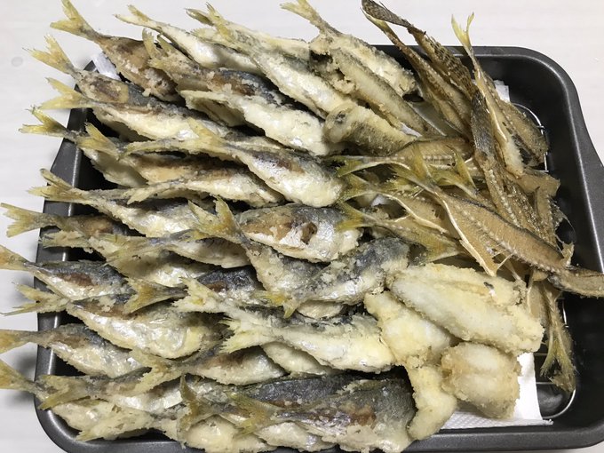 アジはいくら釣れても嬉しい 