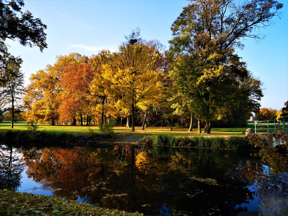 DJairportdisco's tweet photo. forest master canal, Laxenburg
#NaturePhotography #magicautumn #beautifulnature #walk #nature #photography #likeamirror #silence #PositiveVibes https://t.co/iga5CoKvqM