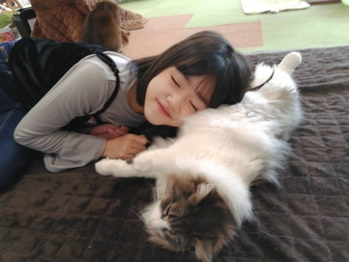 Twitterのコスプレ画像28