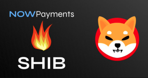 VoortFok's tweet photo. #ShibaArmy join us on this #SHIB bullish month and play your fav #Shibpoker tournaments. 

30K Daily Freeroll
2M Monthly Freeroll
4M Guaranteed BigStack (50,000 starting stack)
5M Wen Lambo

#SHIBARMY Deposit with @NOWPayments_io
 and #burn your #Shiba with transactions. https://t.co/qxF502AQbM