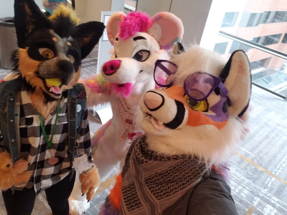 _SODA_P0P_ (@p0psoda) on Twitter photo Omg I see a birb also a beautiful pair of dogos all with <a href="/AshlandFox/">Ashland Fox</a> taking #freepics loving the vibe at #ANW2021 Omg I see a birb also a beautiful pair of dogos all with <a href="/AshlandFox/">Ashland Fox</a> taking #freepics loving the vibe at #ANW2021
