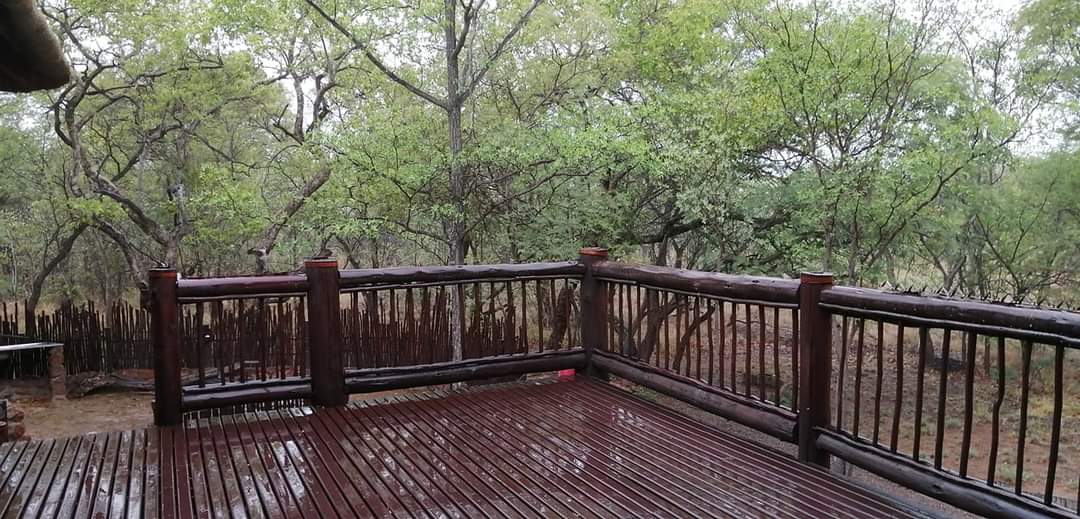 ReenvalIn's tweet photo. Much needed rain after very hot days, Assen boarder between Limpopo and North West 📸 Ilse Oostenhuizan @afriwx @VoxWeatherZa @sabcnuus @JoelGuy_ @maroelamedia @SAWeatherServic @AfricaWeather_ @agri_limpopo @TrafficSA https://t.co/CnbV8tbZdz