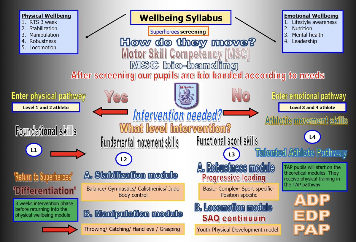 6 years ago I decided to take a different route to teaching PE in schools. It was heavily movement and physical literacy focused, void of all sport. Movement first provides the foundation of sport and skill acquisition which was coached in a separate lesson. #MOVEMENT1ST