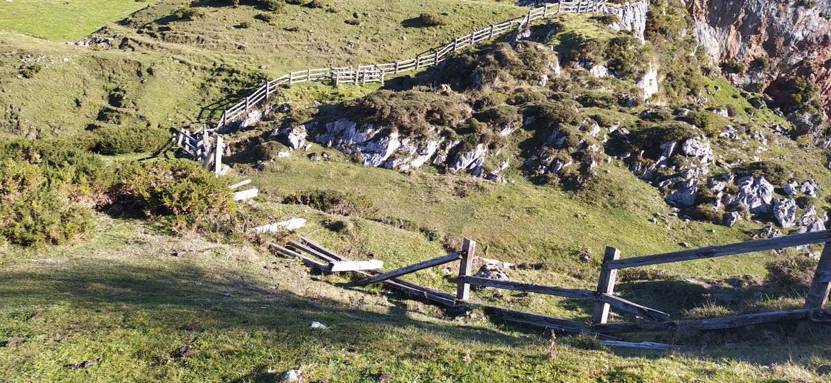 AnaIsabelGilpi2 tweet media