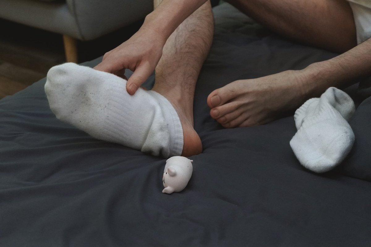 落日飞猪 tweet media