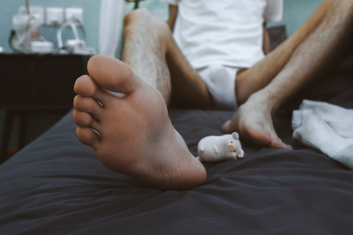 落日飞猪 tweet media