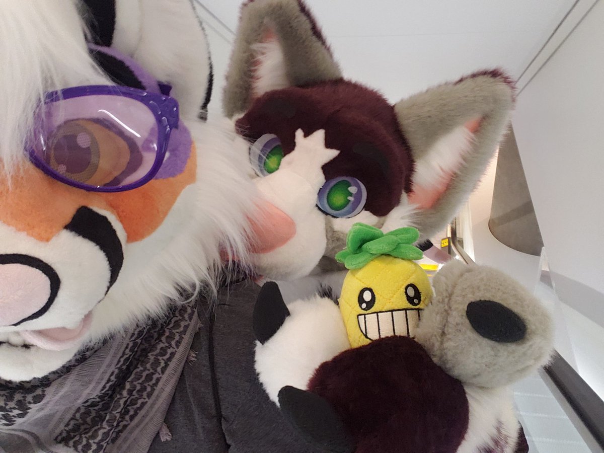 _SODA_P0P_ (@p0psoda) on Twitter photo On a scale of 1 to pineapple how much do you pizza....<a href="/AshlandFox/">Ashland Fox</a> needs to know #ANW2021 #furry On a scale of 1 to pineapple how much do you pizza....<a href="/AshlandFox/">Ashland Fox</a> needs to know #ANW2021 #furry
