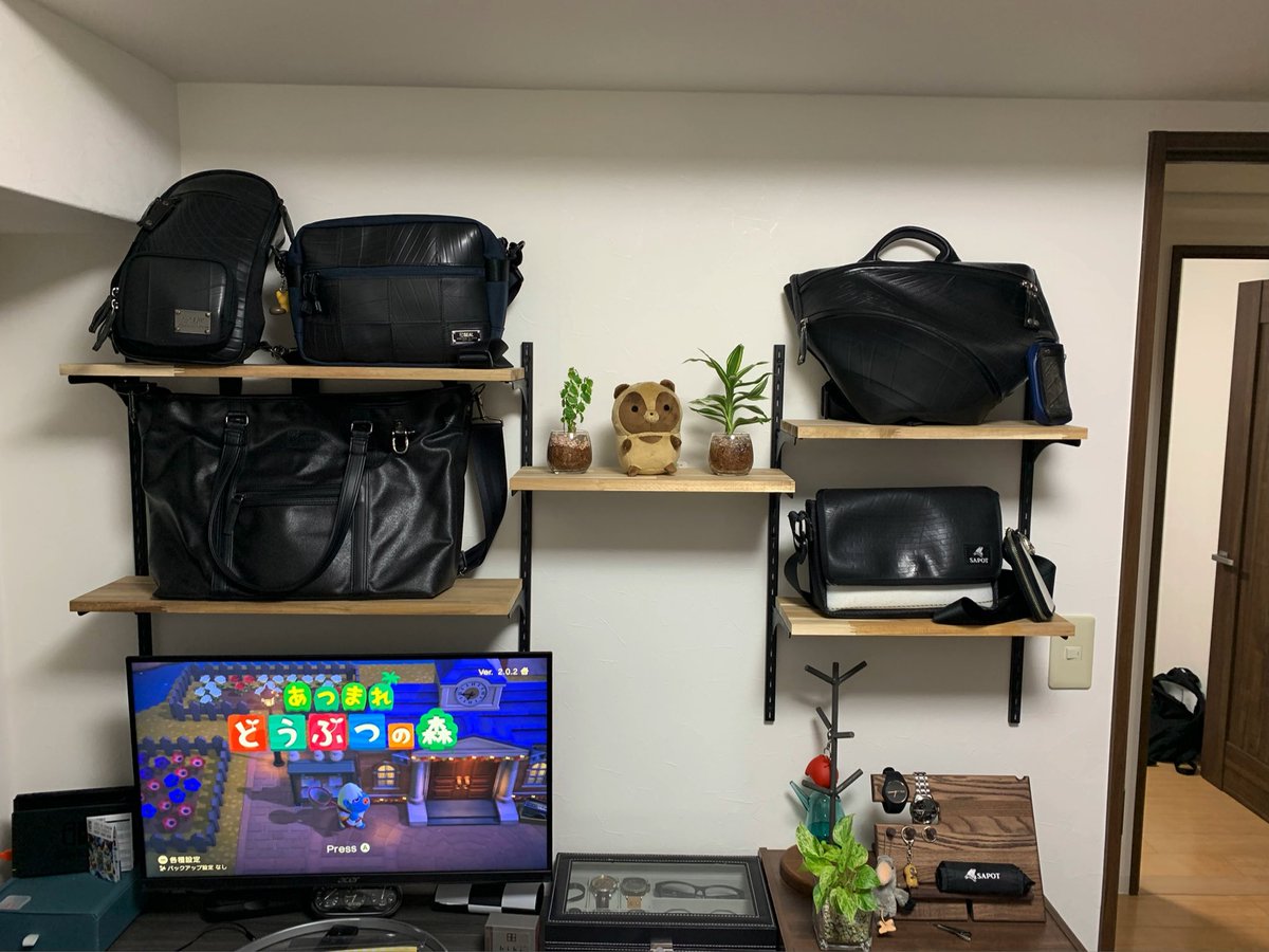 GaiArdie's tweet image. やばい。。。。
タヌキが部屋に
ジャストフィット！
#タヌキとキツネ
#SAPOT