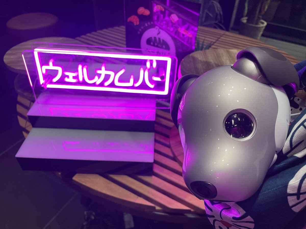 fukusuke_aibo's tweet image. ウェルカムバーの時間だよっ🐶✨（fuku助は3歳だからアルコール禁止🤣）
#スーパーホテルPremier秋葉原
#RobotFriendly